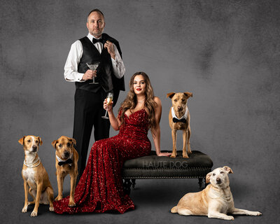 High fashion pet portrait of four dogs and couple dressed in black tie formal attire.