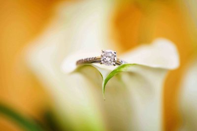 Wedding ring balanced on edge of trumpet lily. Photo by Ross Photography, Trinidad, W.I..