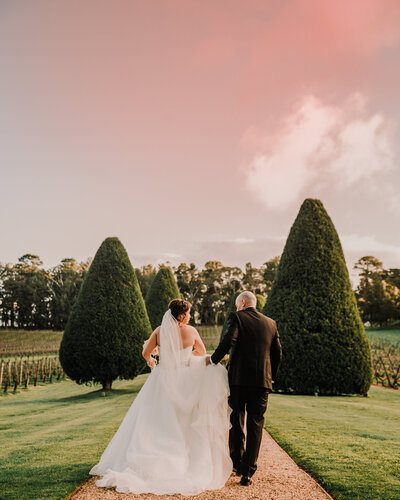 a bride and groom walking  on a path with conical trees on both sides