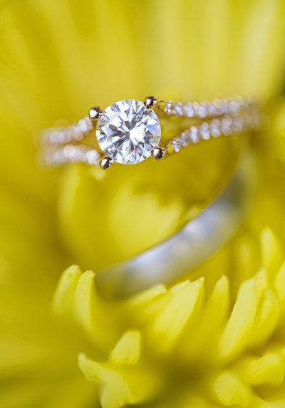 bright colorful yellow flower ring shot