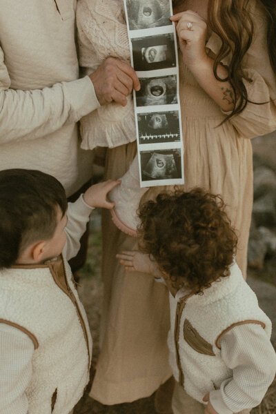 family of five announcement session with twin boys and a little girl baby number 4 on the way