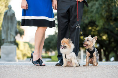 austin engagement session wedding photographer dog lover university of texas session