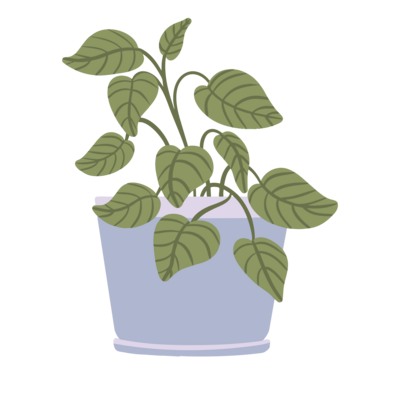 Florida Social Butterfly Purple Potted Plant icon