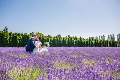 Bride and groom kissing in field of lavender at Woodinville Lavender in Washington