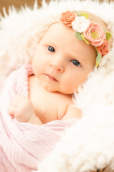Baby girl in basket with floral headband