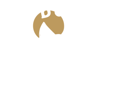Ali Boundy Logo with wolf