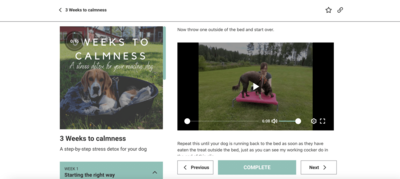 3 weeks to calmness online course for stressed and reactive dogs
