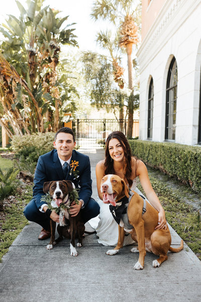 Bride and groom with their dogs on their florida wedding day