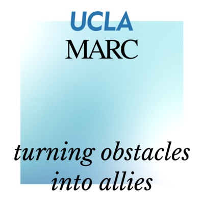 self paced course turning obstacles into allies