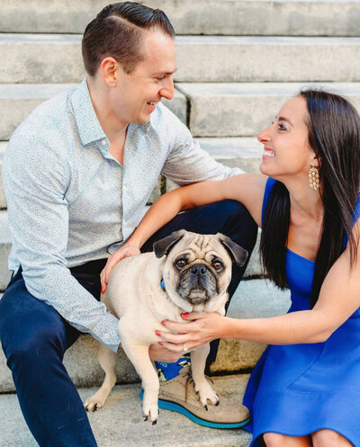 Pug-in-engagement-picture