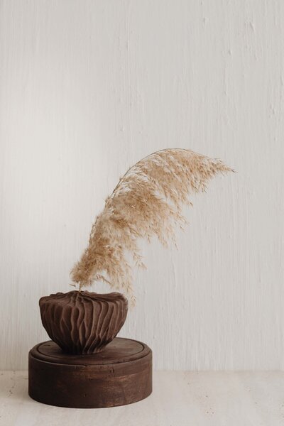 kaboompics_brown-vase-with-pampas-grass-28174