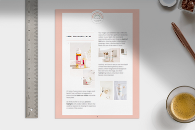 Portfolio Review Mockup Pg 6