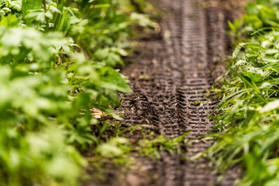 detail_mtb_canada_britishcolumbia_tiretrack
