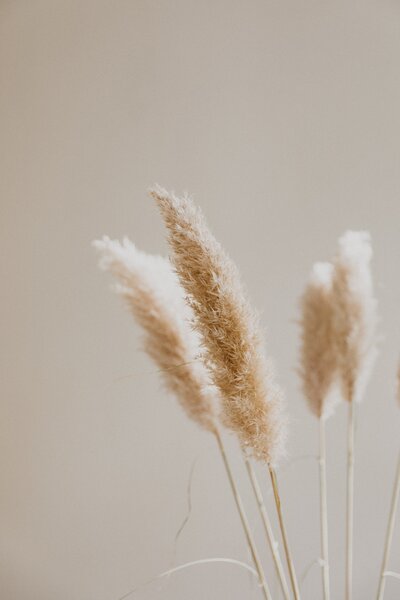 patrick-langwallner-3pR7d-tIRx8-unsplash