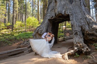 A groom dips his bride in front of a Sequoia Tree in Yosemite on their adventure elopement day.