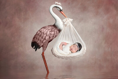 Baby stork girl