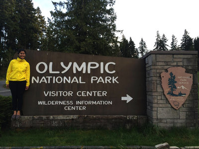 Olympic National Forest Washington
