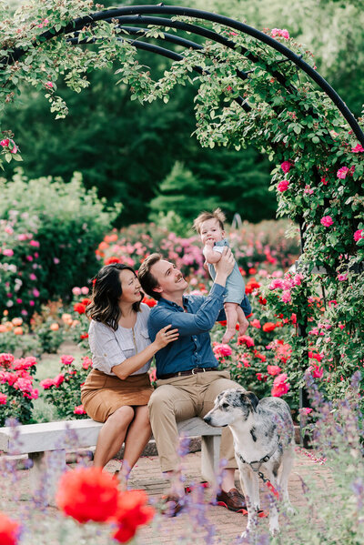 Parents enjoying Bon Air Rose Garden with their baby and dog, taken by a northern virginia family photographer