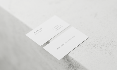 INTREPID GEESE BUSINESS CARD MOCK UP - MIA WILLIAMS 5