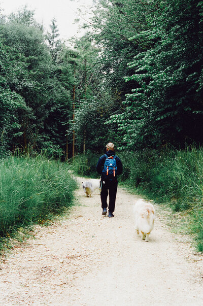Pete walks along a forest path with the dogs running around him, surrounded by tall greenery and soft filtered light.