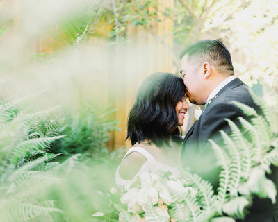 Candid through greenery of Bride smiling looking down as Groom kisses her forehead