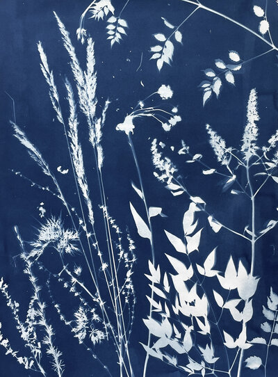 Atwater Designs | Cyanotype Art, Commissions, and Prints