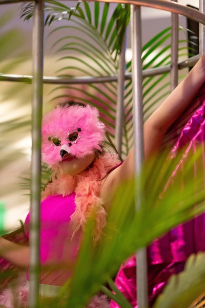 lady in bird costume in a cage proving entertainment at a gala in savannah