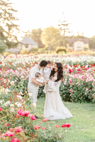 A family photography session taken by Bay area photographer shows a family of four walking and playing in a field of roses.