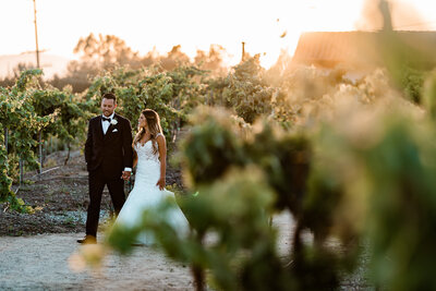 Southern California Vineyard Weddings in Ponte Winery, Avensol Winery, Falkner Winery, Leonness Cellars, Wilson Creek Winery