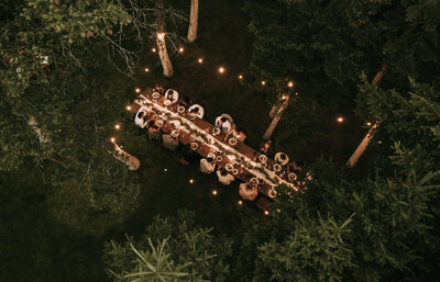 A whimsical intimate dinner in the trees.
