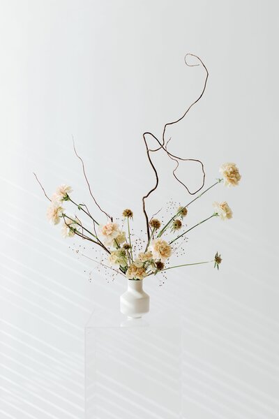Minimal neutral floral centerpiece with champagne carnations