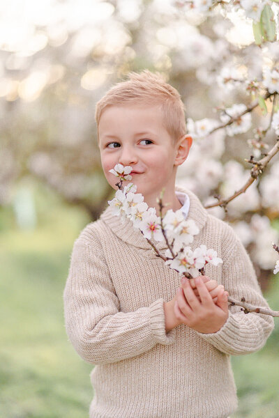 5 year old boy smelling flowers having in family picnic outdoors in brisbane plum orchard.