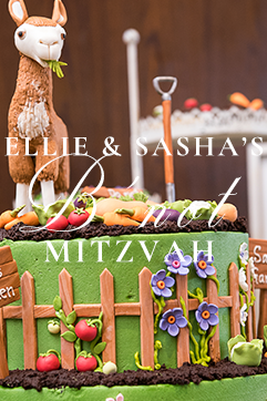 Mitzvah Planner Luxury Nj NYC