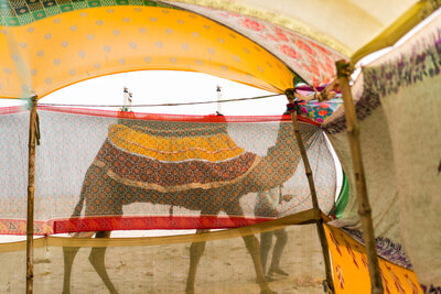 varanasi6