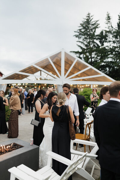 Guests at Finger Lakes Crispin Hill wedding reception