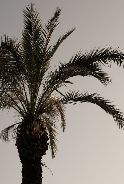 Press Events by Agata Dimmich Italian photographer based in Milan