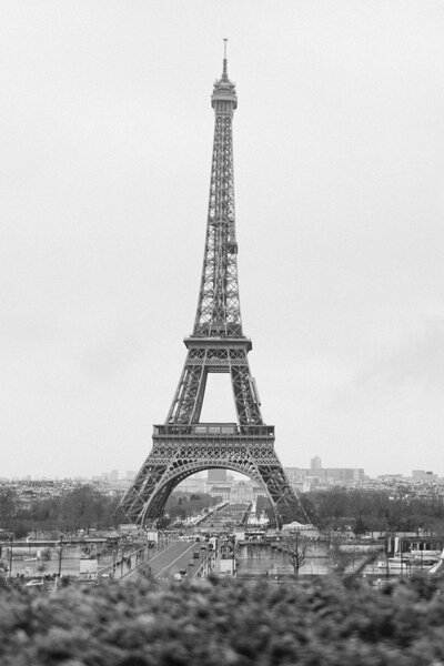 Black and white portrait of Eiffel Tower