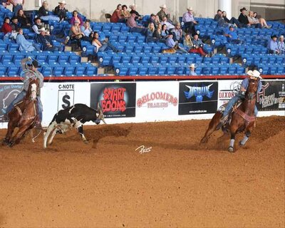 James Ferreira Horse Training American Rope Horse Futurity LOTTA LITTLE ROOSTER