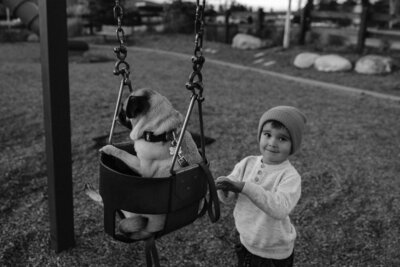 kid pushing dog in swing