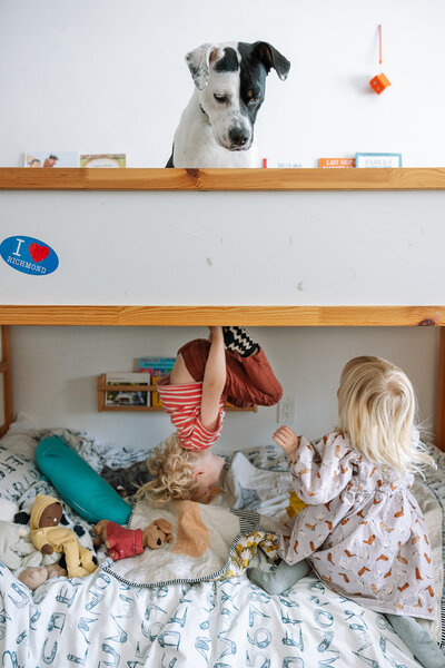 dog sitting on top bunk looking at kids playin on bottom bunk
