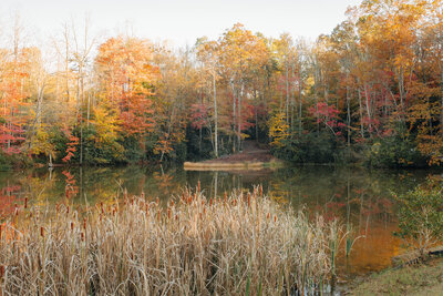 a pond surrounded by trees with fall leaves