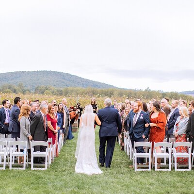 Bride and groom being introduced at Cross Keys Vineyard.