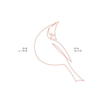 Cat Deline Photography Bird Logo