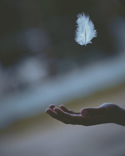 White feather falling down on a hand