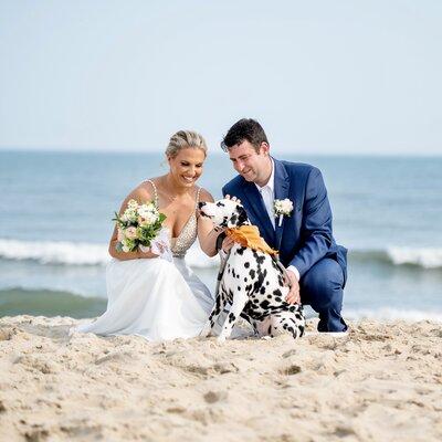 Bride and groom crouched by their dalmation dog on the beach behind the sea shell resort in lbi