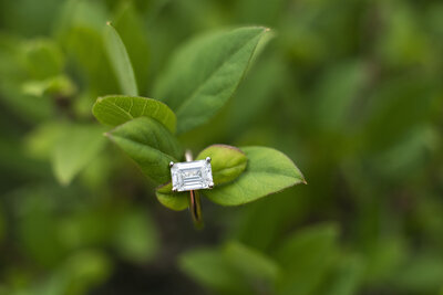 Engagement ring on green leaves Biltmore Estate engagement proposal Asheville NC