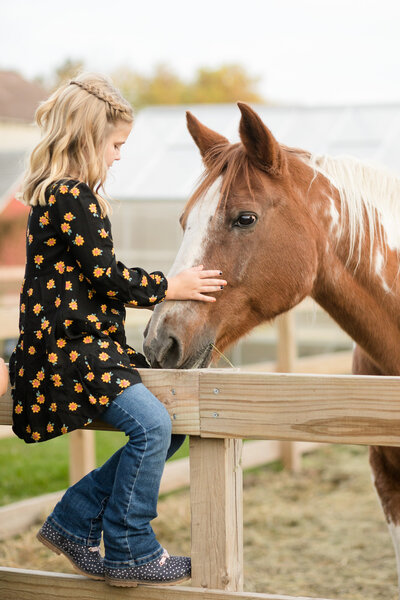 Girl sitting on a fence, petting a horse.