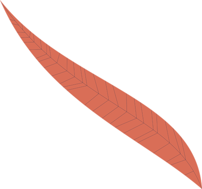 red illustrated leaf