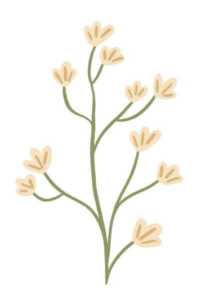 Florida Social Butterfly  Yellow Flower Icon