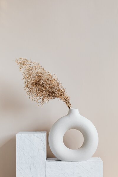 Circle vase with Pompas grass on neutral background